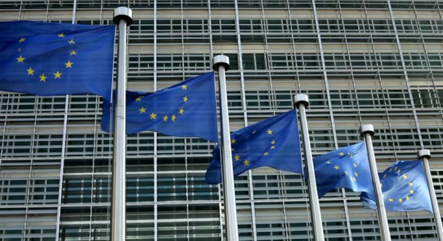 L'Europarlamento approva l'accordo di libero scambio tra UE e Nuova Zelanda