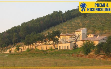 Monini, Frantoio del Poggiolo è il miglior frantoio biologico al mondo