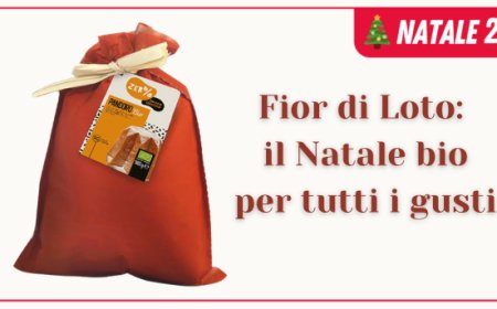 Fior di Loto: il Natale bio per tutti i gusti