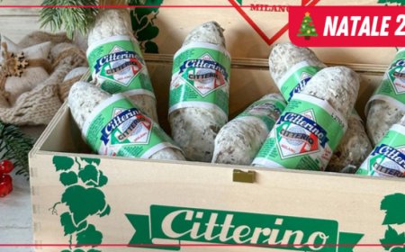 Natale 2023: da Citterio tre idee per la tavola delle feste 