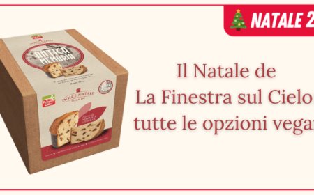 Il Natale de La Finestra sul Cielo: tutte le opzioni vegan