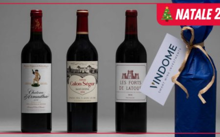 Vindome Christmas: da bere o da investimento, il vino è sempre il regalo perfetto per le feste