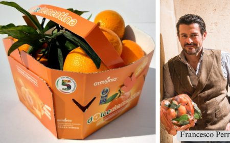 Debutta sul mercato la clementina tardiva  “Perrina”