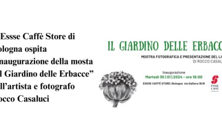 All'Essse Caffè Store di Bologna la mostra di Rocco Casaluci