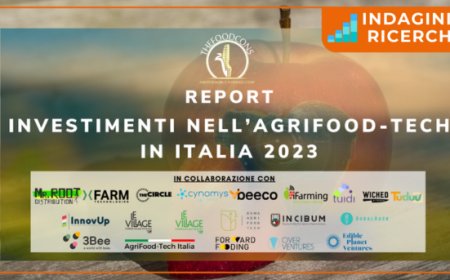 Foodtech in Italia: gli investimenti volano al +53%