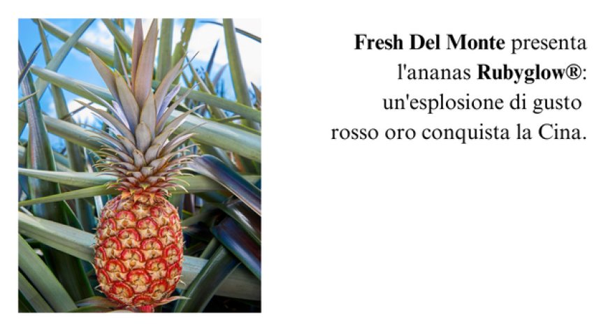 Fresh Del Monte presenta il nuovo ananas con buccia rossa Rubyglow®