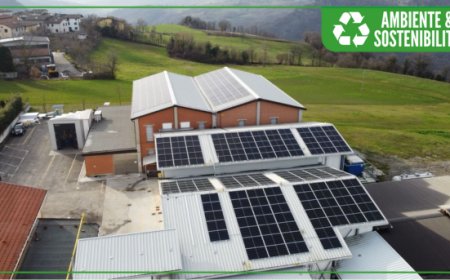 Dalterfood: un nuovo impianto fotovoltaico segna un nuovo traguardo verso una maggiore sostenibilità