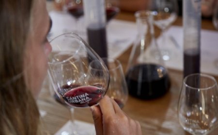 Cantina Urbana® Academy: tre serate per imparare a conoscere e amare il vino.