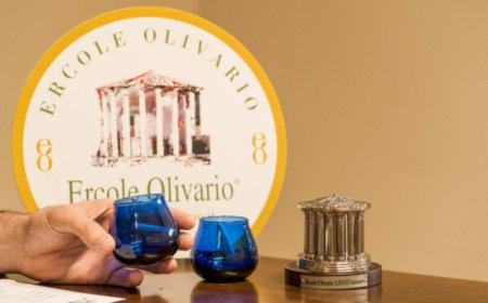 Ercole Olivario 2024. Al via il percorso di formazione e aggiornamento per assaggiatori di olio