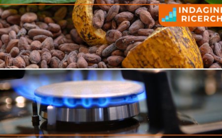 Cacao e Gas & Power. Le novità da Aretè sui principali mercati food e fuori casa
