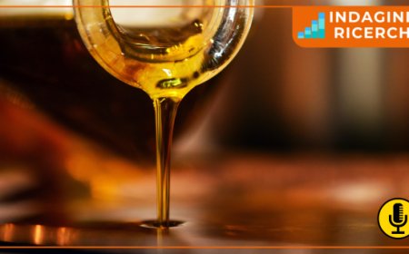 Valutazioni record per l'olio d'oliva nel 2024: persiste la siccità nel Mediterraneo