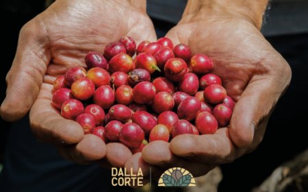 Dalla Corte riporta in scena il DC Campus: un viaggio nel cuore della cultura del caffè