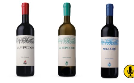 Enoturismo in Chianti Classico con i pregiati vini firmati Vallepicciola