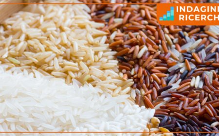 Novità dai principali mercati. Le pillole di Aretè sul riso