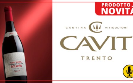 Cum Vineis Sclavis 2022 Schiava Trentino DOC, la nuova referenza di Cavit  dedicata all'Horeca