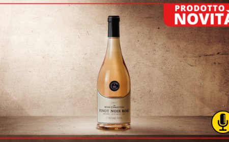 Pinot Noir Rosé 2021, la nuova etichetta della collezione più prestigiosa di Cantina San Michele Appiano