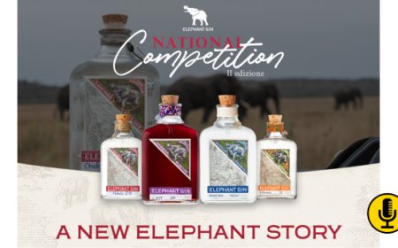 Torna la Elephant Gin National Competition: la gara di bartending promossa da Elephant Gin