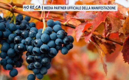 L’Emilia-Romagna protagonista a Slow Wine Fair 2024