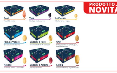 Ruggiero lancia per il canale Foodservice la linea Box Premium