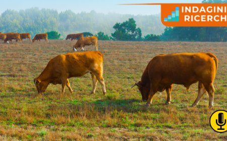 Benessere animale: cosa pensano gli Italiani? I risultati dell'indagine di Altroconsumo