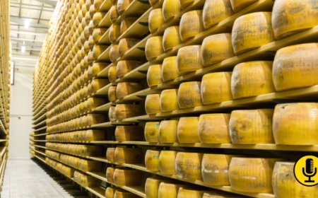 Via libera definitivo dall'Europa per rafforzare la protezione delle IG di vino, spirits e prodotti agricoli