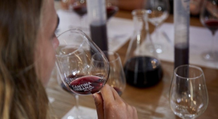 Cantina Urbana® Academy: tre serate per imparare a conoscere e amare il vino.