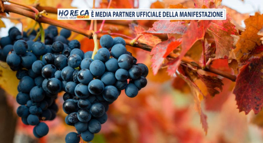 L’Emilia-Romagna protagonista a Slow Wine Fair 2024