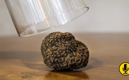 Da Classico Bistrot a Roma arriva la ''Cena in Nero''