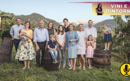 Rottensteiner: 500 anni di viticoltura in Alto Adige tra masi e pietra rossa