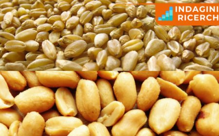 Novità dai principali mercati. Le pillole di Areté su Frumento duro e Arachidi