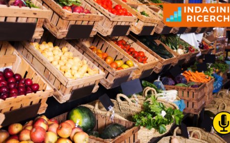 Fruitimprese. Export ortofrutta: valore a 5,8 miliardi (+9%), ma calano le quantità (-1%)