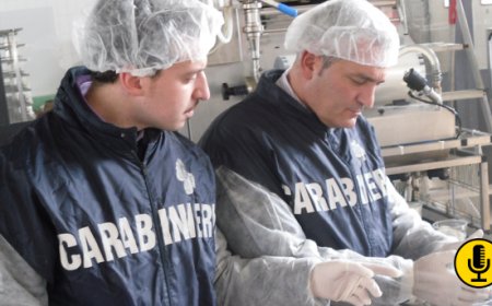 Controlli Carabinieri NAS: gravi violazioni igieniche in attività casearie del Molise