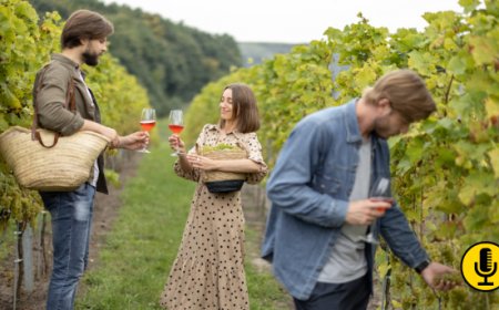 Torna Vigneti Aperti, un viaggio nel mondo delle cantine con il Movimento Turismo del Vino