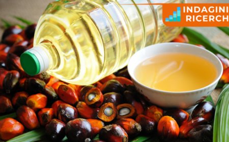 Novità dai principali mercati. Le pillole di Areté sull'Olio di palma