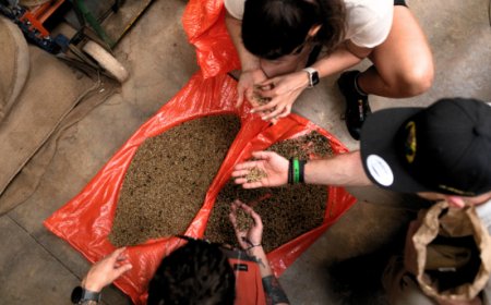 DC Campus: il viaggio educativo di Dalla Corte alla scoperta del caffè in Costa Rica