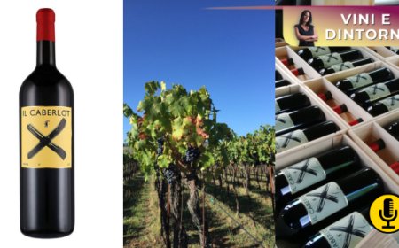 Podere il Carnasciale e la storia di un vitigno misterioso, il caberlot