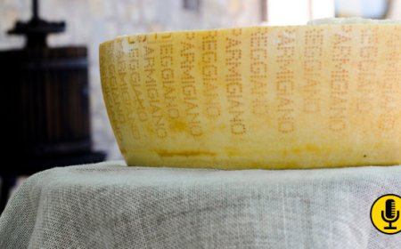 Il Parmigiano Reggiano nel 2023: crescita delle vendite e espansione globale