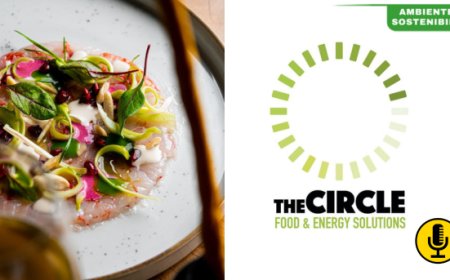 Chef e sostenibilità: cresce la scelta di prodotti di origine acquaponica nella ristorazione