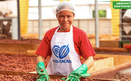 Ritter Sport: un modello di eccellenza per la sostenibilità del cacao