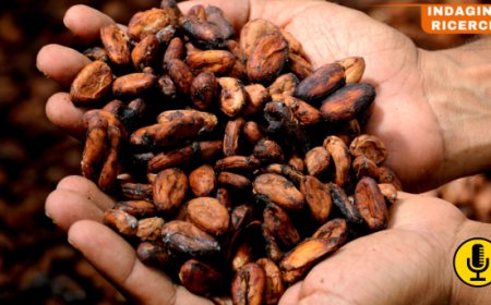 Rincari record per il cacao: aumenti vertiginosi per le uova di Pasqua
