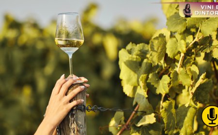 In Francia il vino torna ad essere la bevanda alcolica preferita
