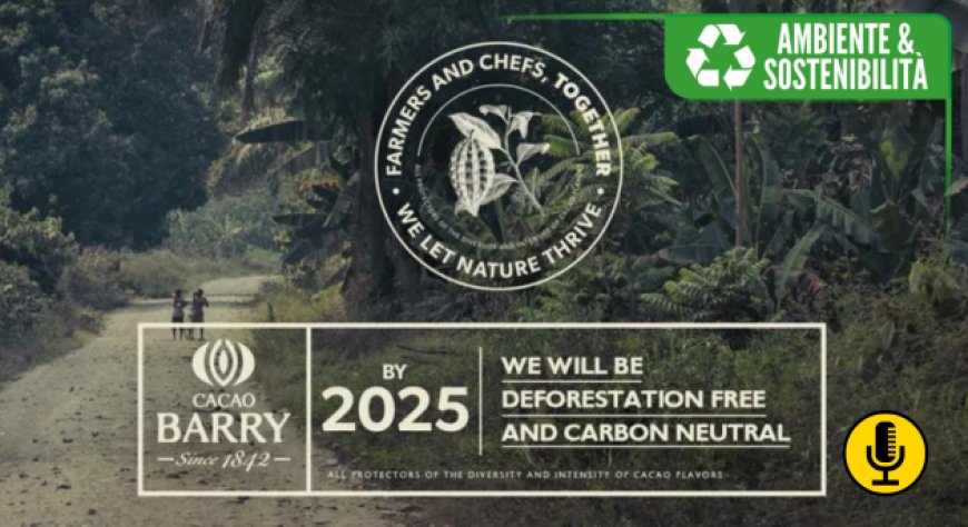 La scelta sostenibile di Barry Callebaut: dal 2025 addio alla carta