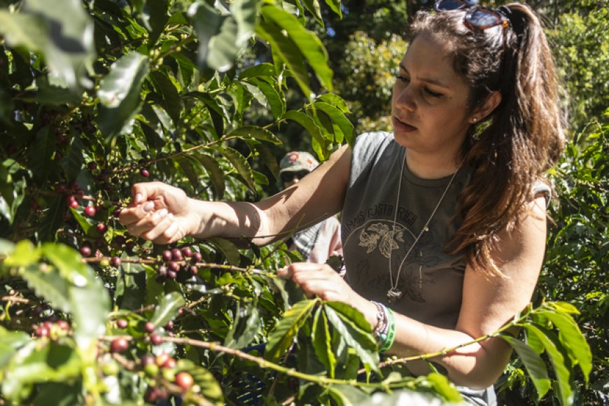 DC Campus: il viaggio educativo di Dalla Corte alla scoperta del caffè in Costa Rica