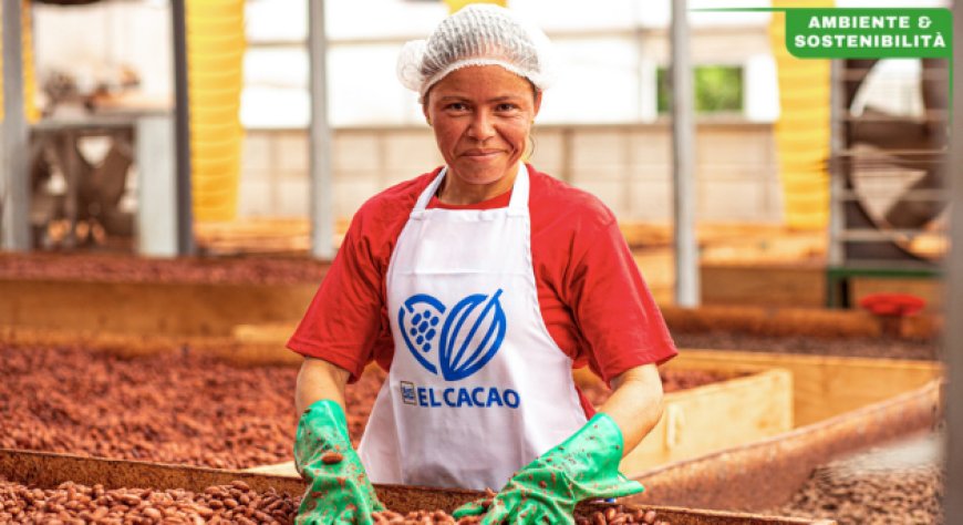 Ritter Sport: un modello di eccellenza per la sostenibilità del cacao