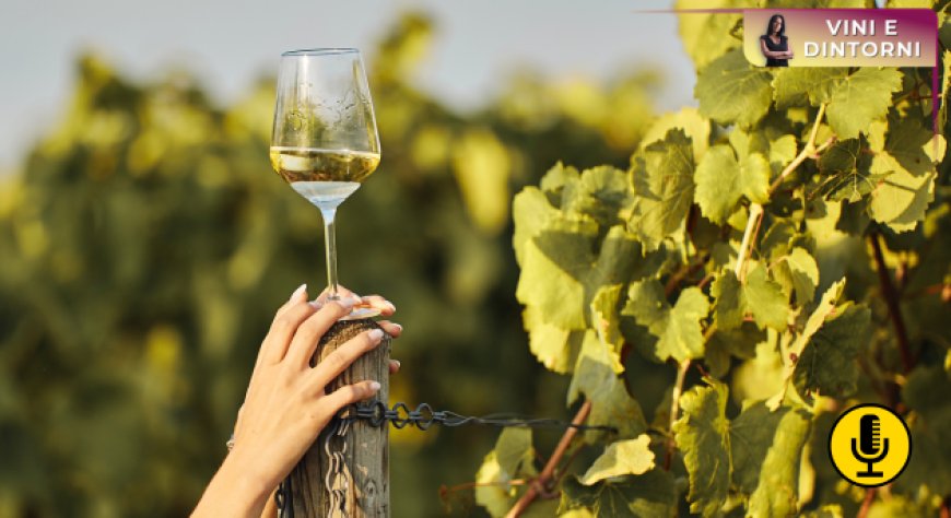 In Francia il vino torna ad essere la bevanda alcolica preferita