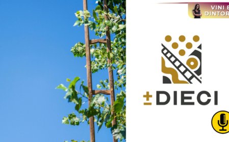 L’Asprinio di Aversa sperimenta l’affinamento in mare con il progetto ''Più o Meno Dieci''