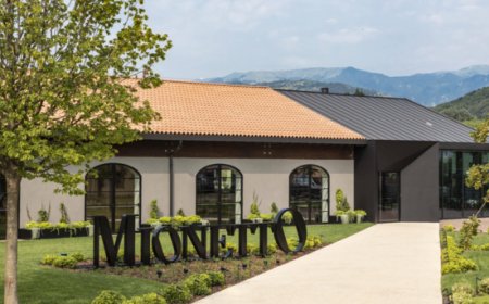 Mionetto chiude il 2023 con un fatturato che supera i 153 milioni di euro