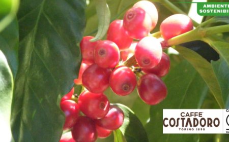 Costadoro produce energia rinnovabile dagli scarti di caffè. Prosegue l'impegno dell'azienda BCorp per l'ambiente