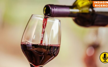 Tendenze chiave per il mercato del vino statunitense nel 2024