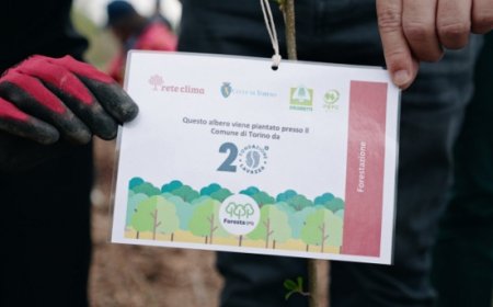Rete Clima e Fondazione Lavazza insieme con 500 nuovi alberi a Torino